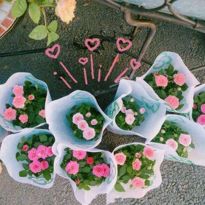 押注篮球的appapp下载